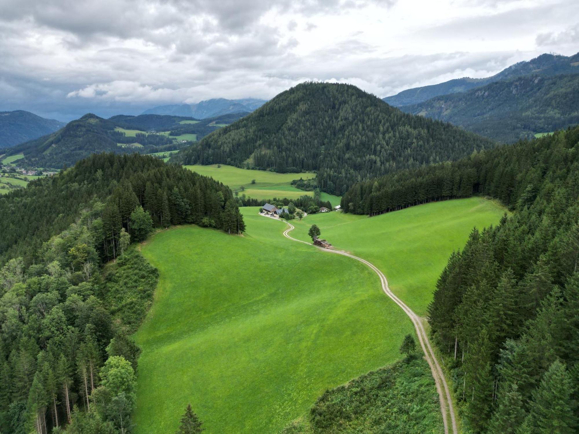 Ferienstadl - Hammerau Göstling an der Ybbs Exteriör bild